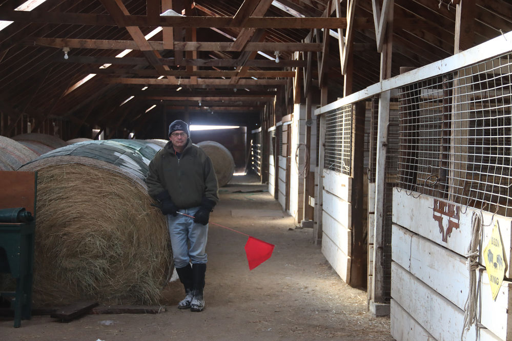 Raising bison at the Rocky Hollow Buffalo Company